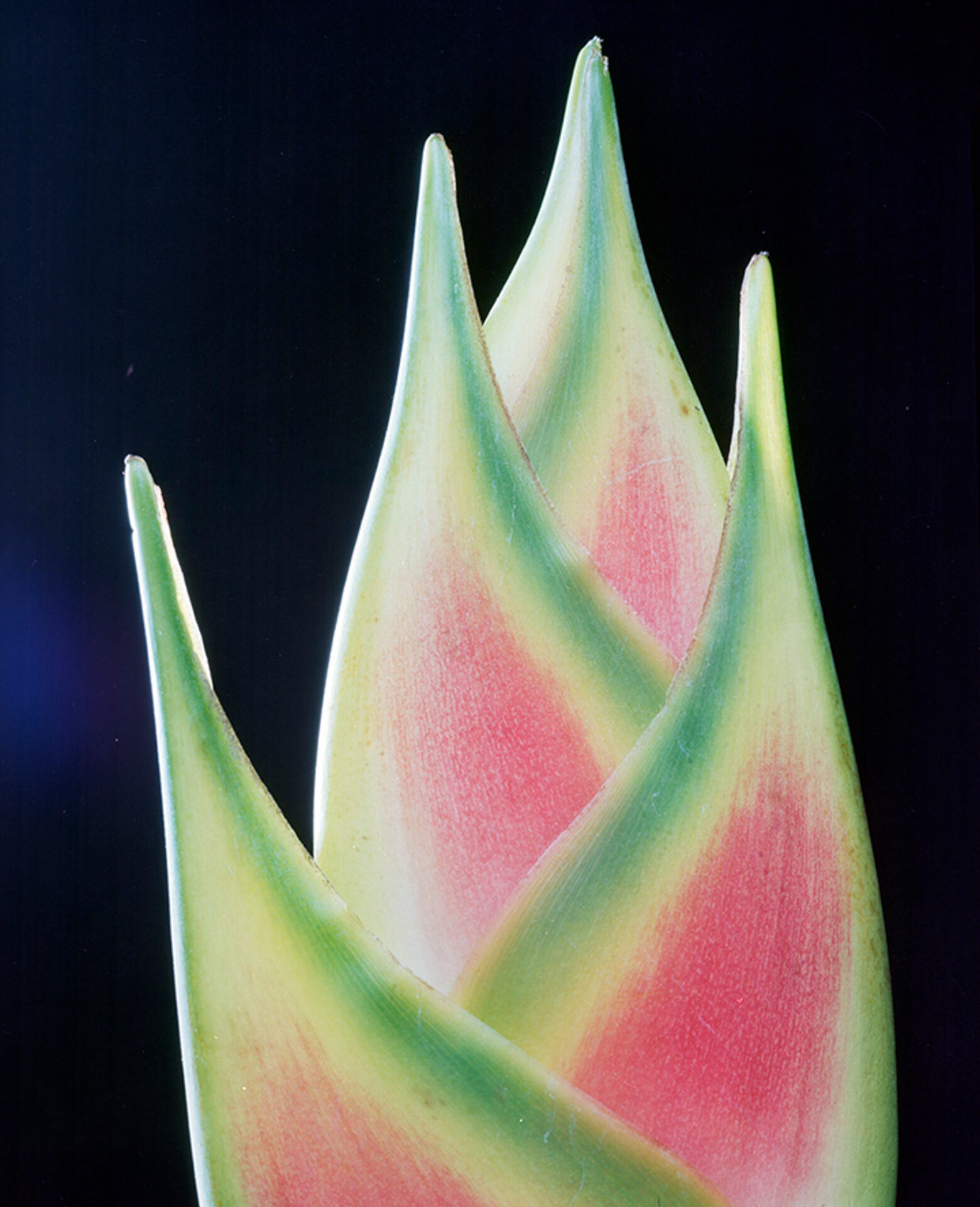 Sin titulo, c. 2002, Vintage C-print, 13 x 18 cm