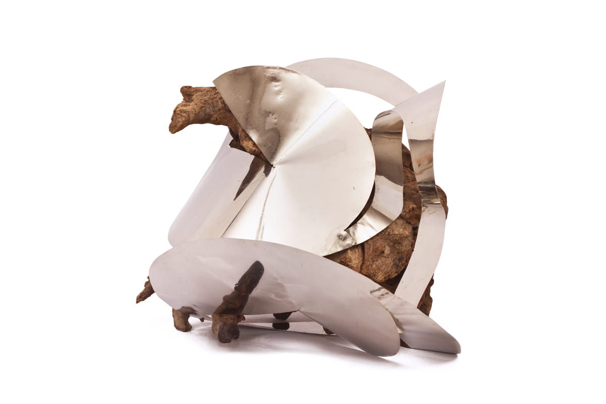 Lygia Clark - Trepante - Colección Malba