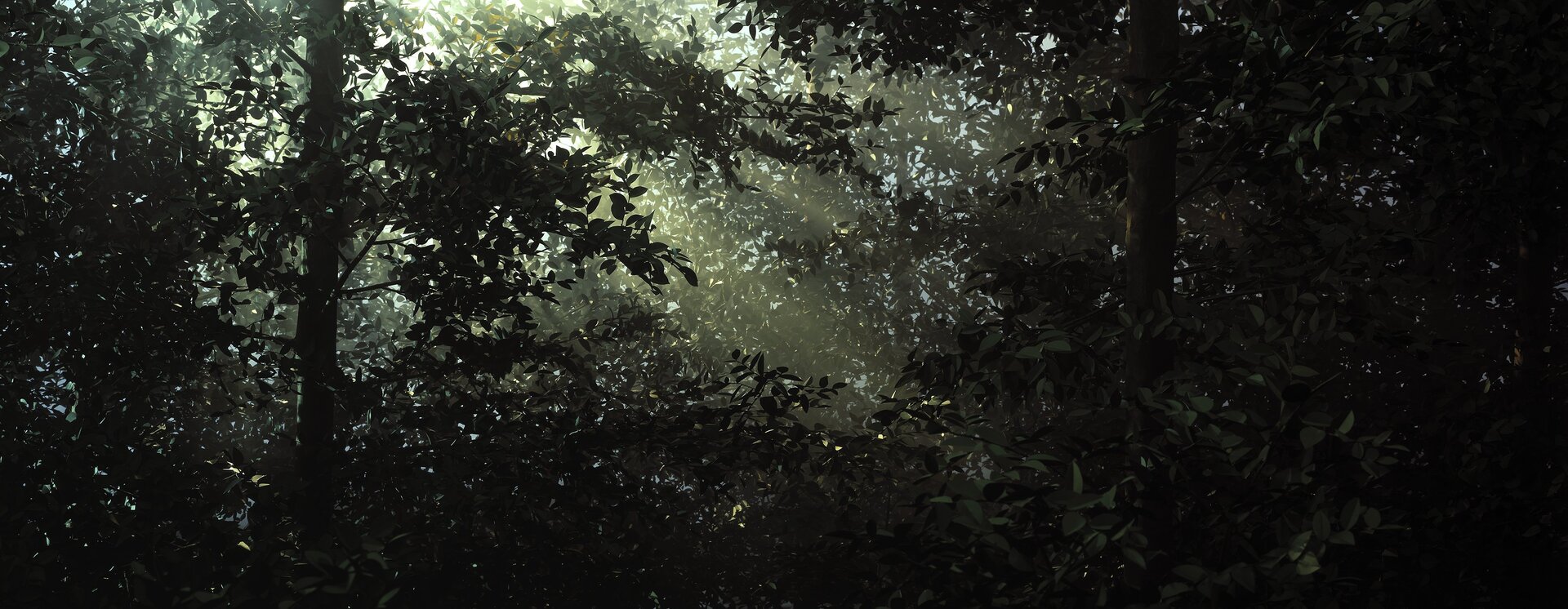 Lichtung / Clearing, 2003, C-Print/ Diasec, 192 x 495 cm