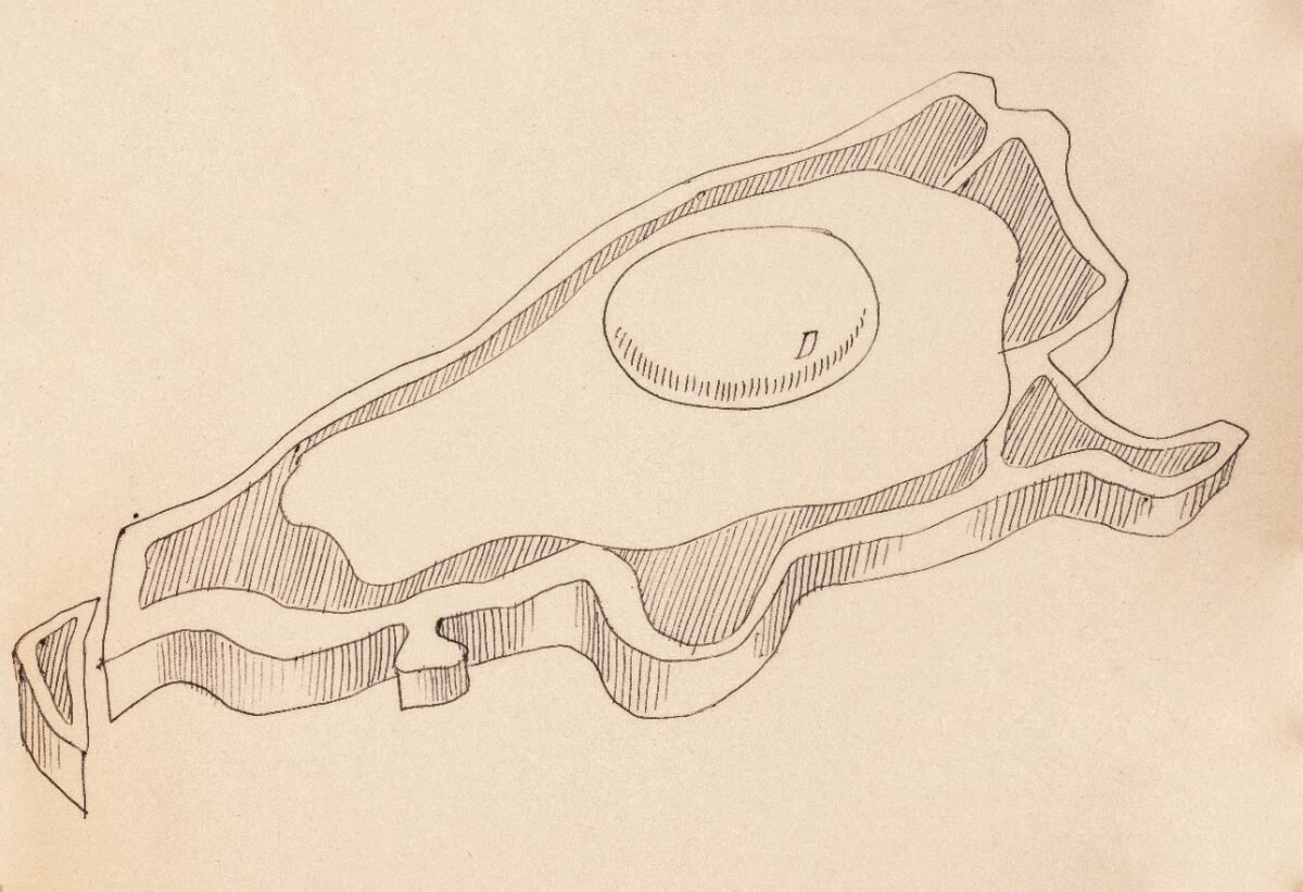 de la serie Choripzus, 1970, tinta sobre papel
