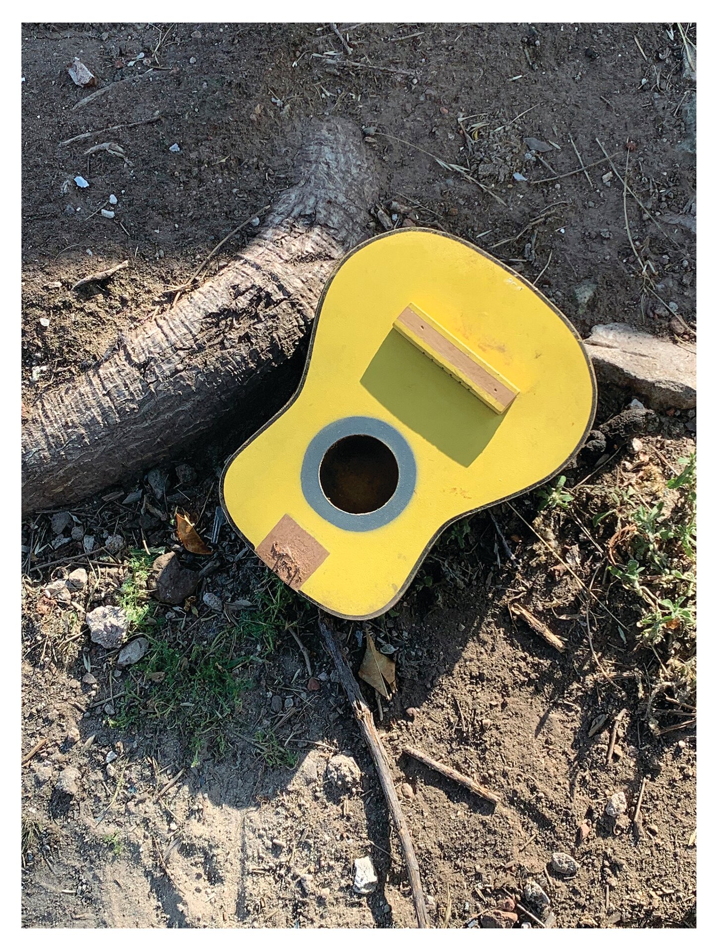 Canción animal