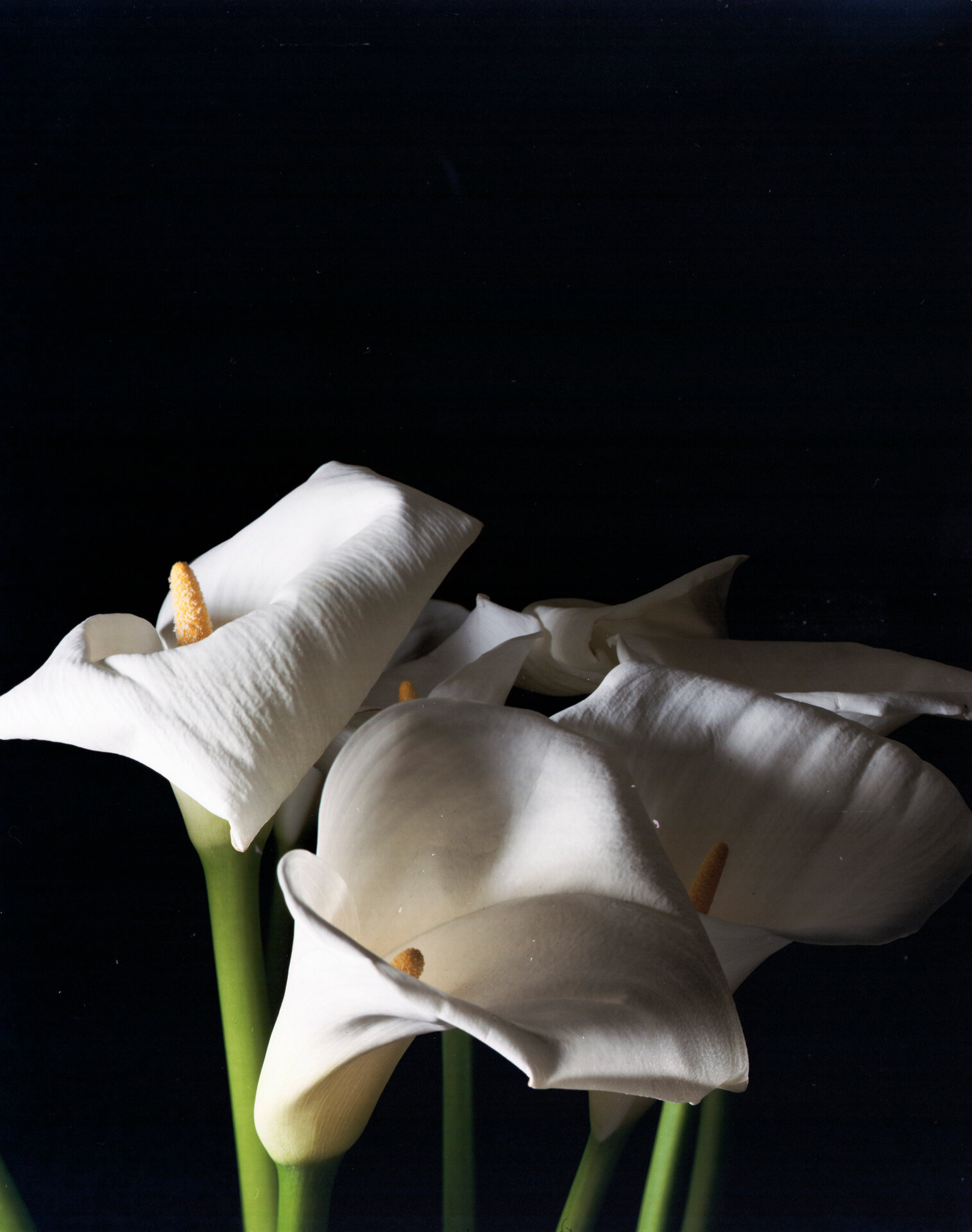 Sin titulo, c. 1995, Vintage C-print, 13 x 18 cm