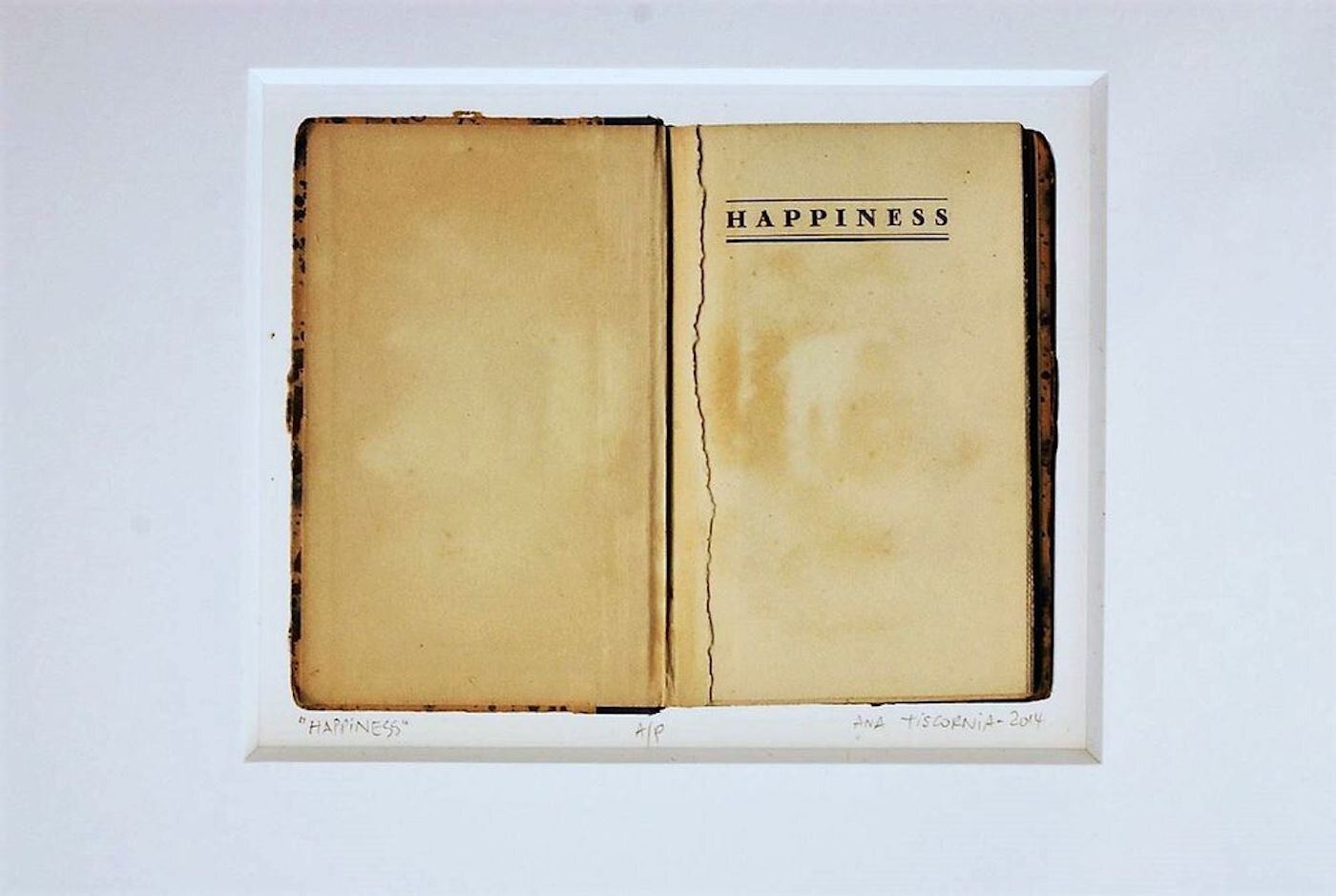 Ana Tiscornia Happiness Fotografía 46 x 36 cm 2014
