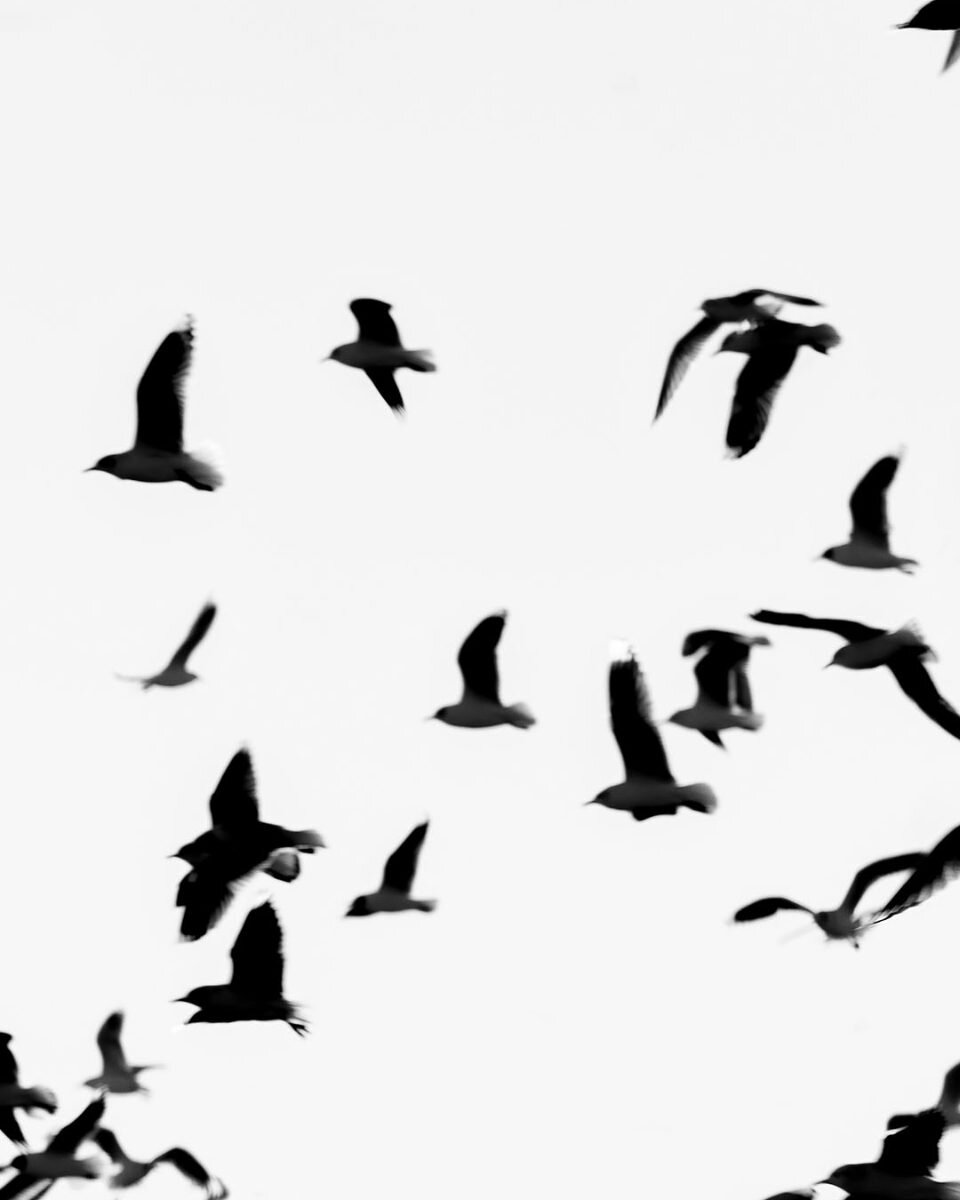Grace Ratto