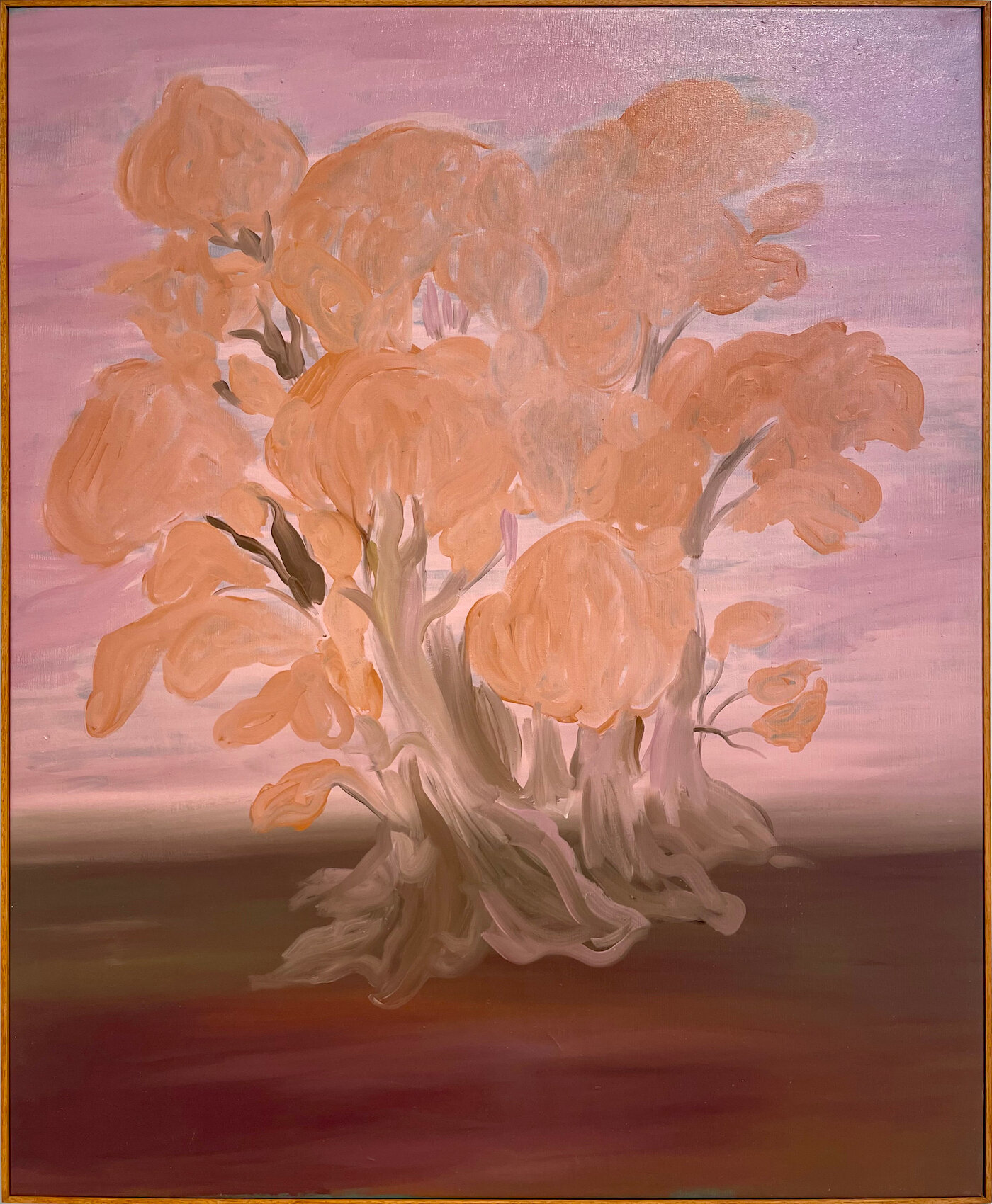 Reversion intestinal de Ombu coposo de P.-Pueyrredon 97x94 cm 2026