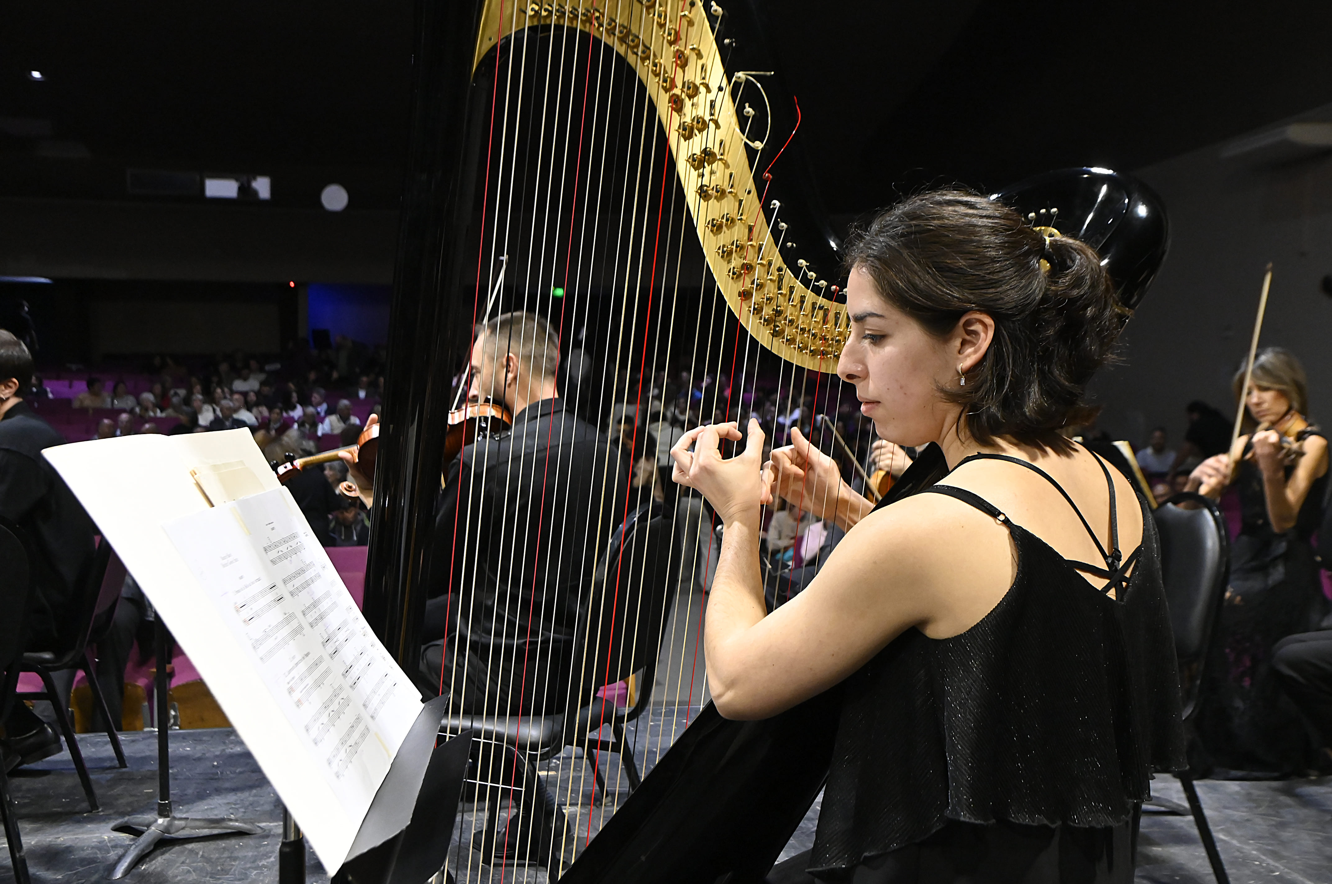 Orquesta Sinfónica Provincial de Bahía Blanca.