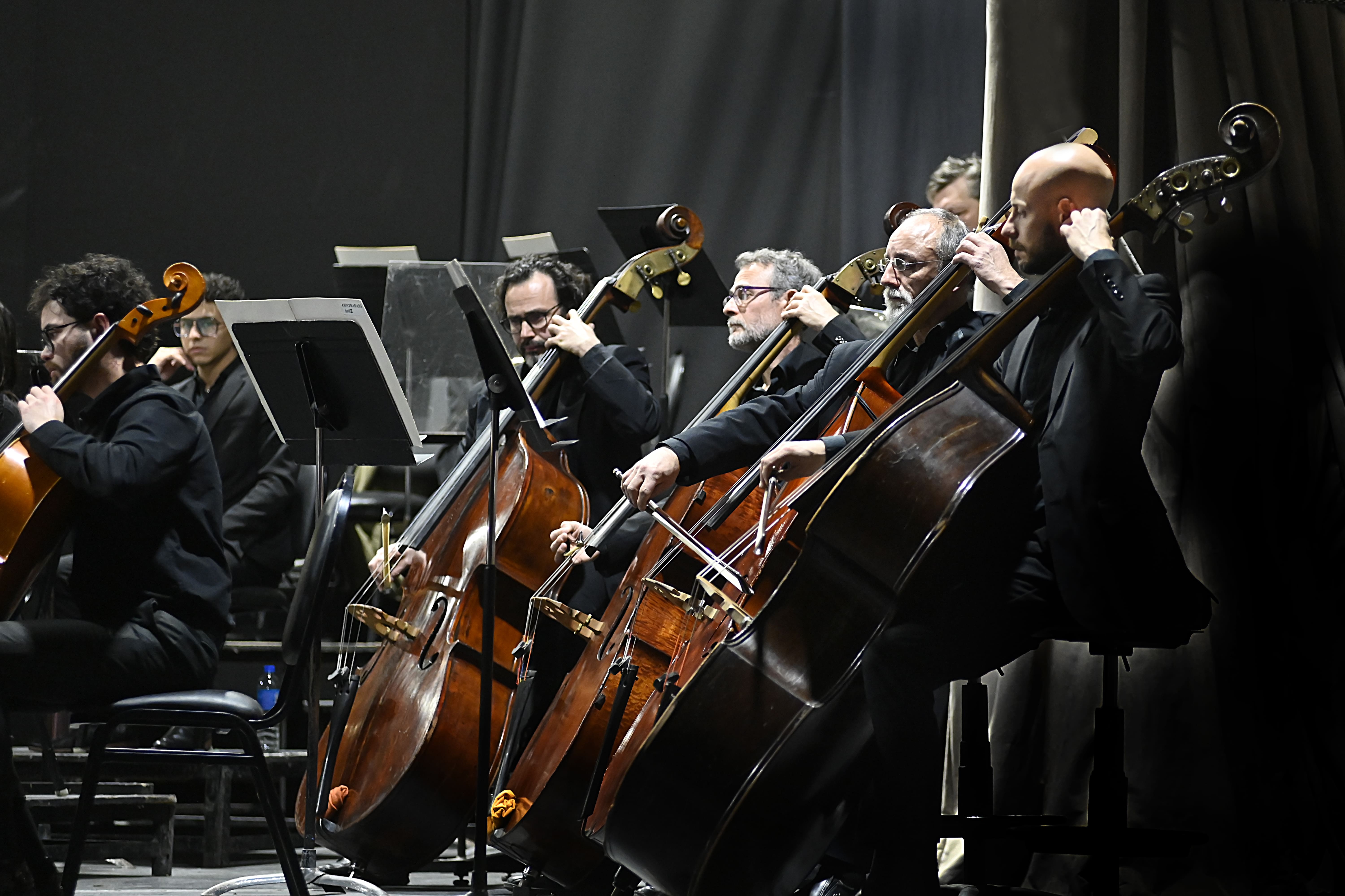 La Orquesta Sinfónica Provincial interpreta Debussy, Falla y Bartók