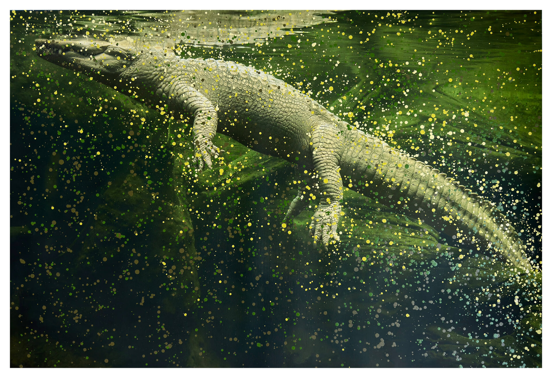 Anastasia Samoylova, Albino Alligator, 2026, UP Gallery